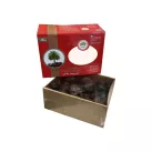 Dattes Medjoul Medium 1KG - Grossiste Importateur Dattes