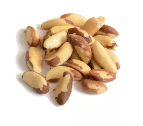 Brazil Nuts Medium Wholesale 25kg - Wholesaler Dry Fruits Bulk