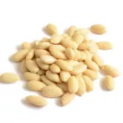 Importer wholesaler Dried fruit Almond bleached 23/25 12,5kg Dry fruit supplier Wholesale