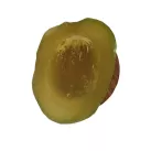 Großhändler Obst Confit Aptunion - Cedrat Confit 1/2 2kg Importeur Großhändler Kandierte Obst Großhandel