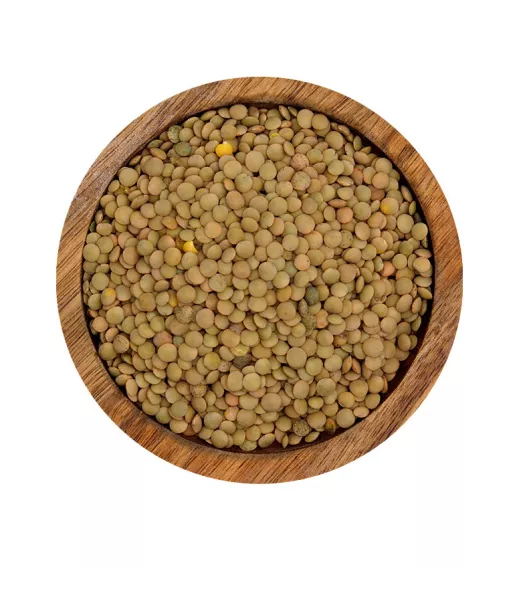 WISSAL - LENTILLES BLONDES 4mm 12X1K