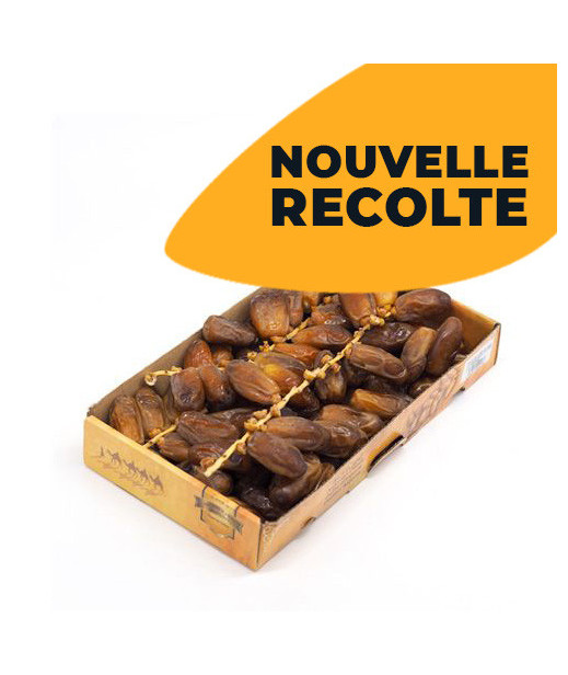 DATE Branchette Algerie - Brand Ritedj / Taibatte - 12x1kg