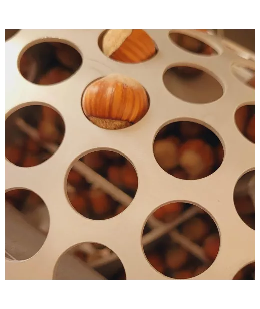 Bucket Meyva - Decorated hazelnut 5kg - Origin France - Caliber 15+