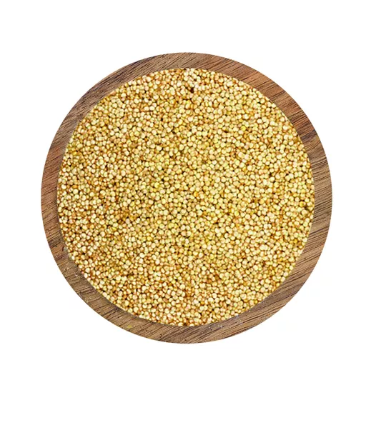 Meyva - White Quinoa-Samen - 10x1kg