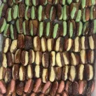 Importateur Grossiste Epicerie fine Datte fourree pate amande tricolore