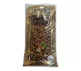 Noisettes à Coque 22/24 5Kg - Grossiste Noix et Fruits Secs