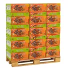 Kopie von DATTE BRANCHEE ALGERIE TAIBATTE CARTONNETTE 12X1KG