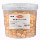 Kumquats Baby Dehydrated, Bucket 5kg - Wholesaler Dried Fruits