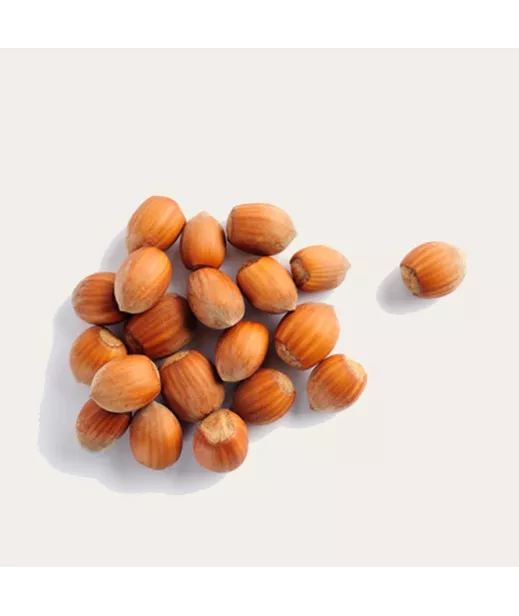 Noisettes à Coque 22/24 5Kg - Grossiste Noix et Fruits Secs