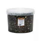 Grossiste Fruits Secs SEAU MEYVA - GRAINE DE COURGE CRUE 5KG Importateur Grossiste Fruits Secs en GROS