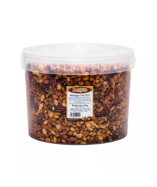 Fournisseur Fruits Secs SEAU MEYVA - MELANGE CACTUS 4KG Grossiste Fruits Secs en GROS