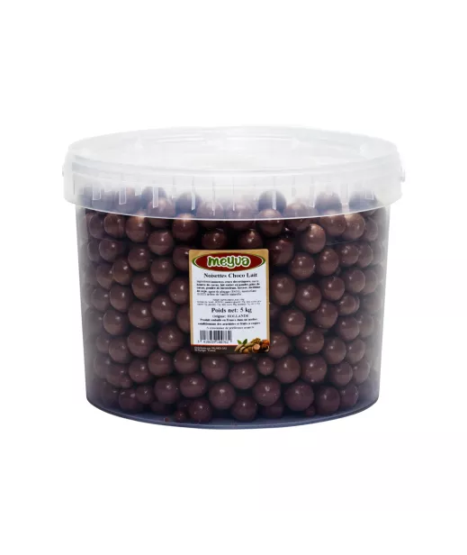 Grossiste Fruits Secs SEAU MEYVA - NOISETTE CHOCO LAIT 5KG Importateur Grossiste Fruits Secs en GROS