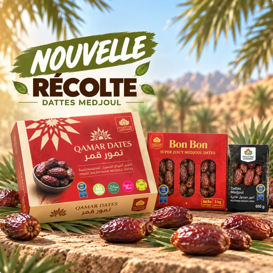 Nouvelle Récolte DATTE