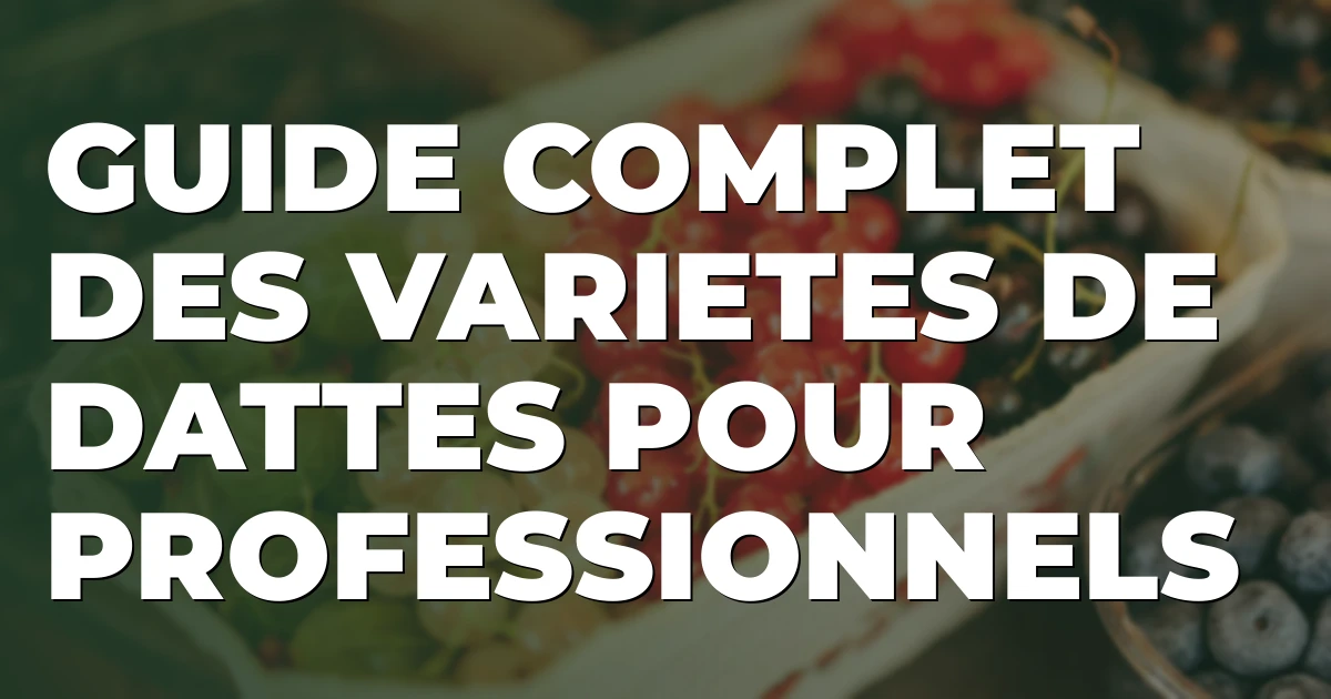 Guide complet des variétés de dattes pour professionnels | Deglet Nour, Medjool, Ajwa, Sukkari