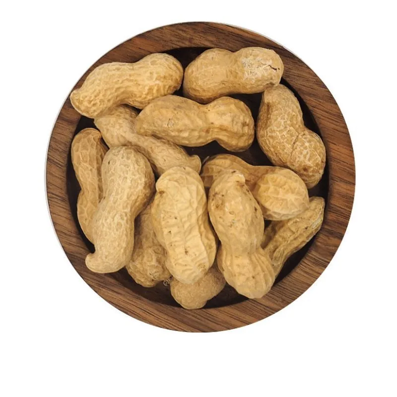 BUCKET MEYVA - IN-SHELL PEANUT 2KG - 2