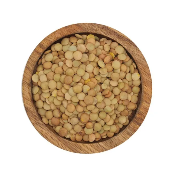 WISSAL - LENTILLES BLONDES 6/6.5mm 12x1kg