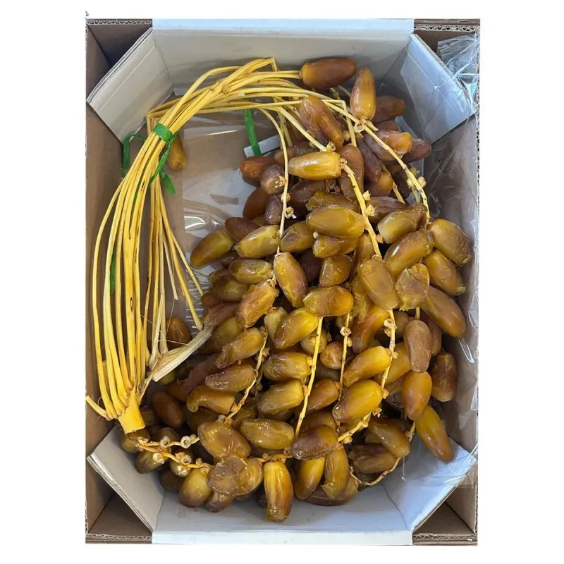Date Bunch Algeria - EXTRA PREMIUM - MEYVA - 3kg - 2