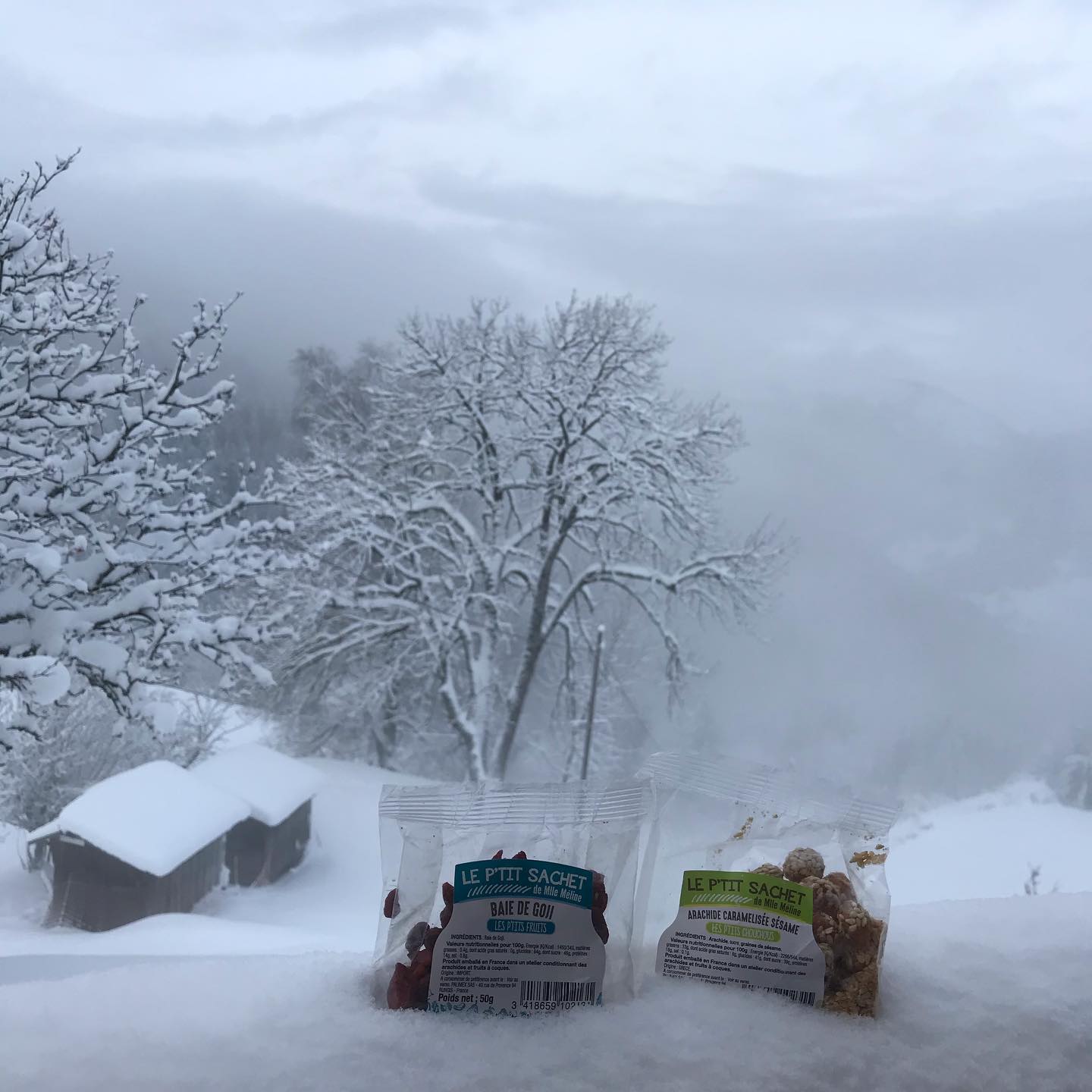 ✈️ FORMAT NOMADE. Le p’tit sachet en Vacances dans les alpes…