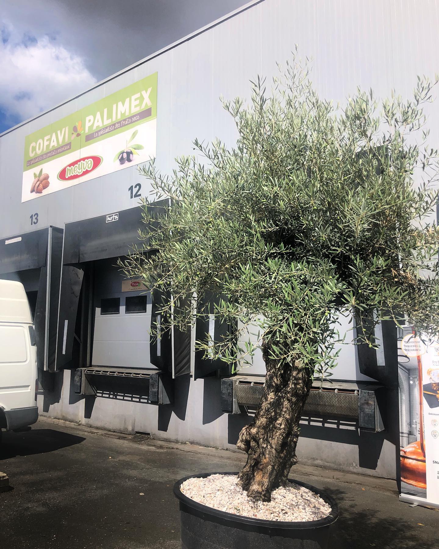 On vous attend sur le MIN DE BRIENNE à Bordeaux ##grossiste …