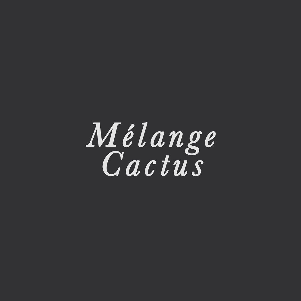 Retrouvez l’ensemble de nos mélanges : 👉🏽 https://www.pal…