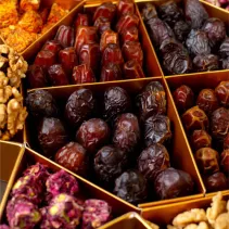 Guide complet : les variétés de dattes pour les professionnels